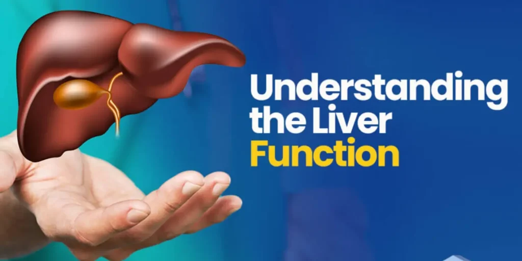 Healthy Liver, Healthy Life!