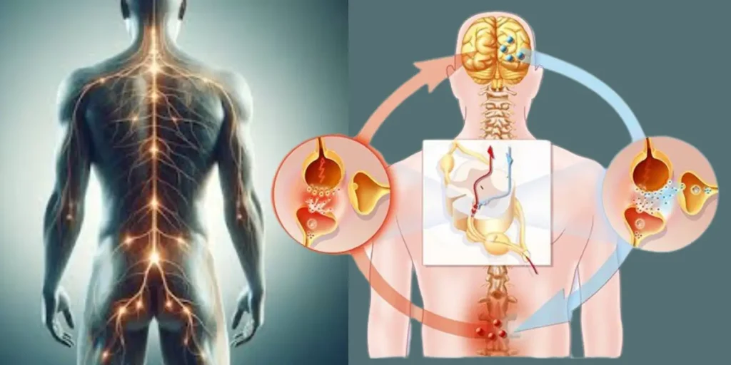 Nerve Pain Breakthrough